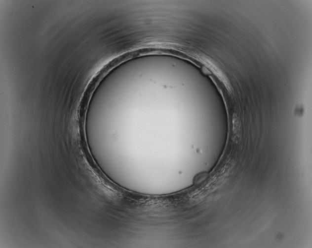 X0000100320972200806121100