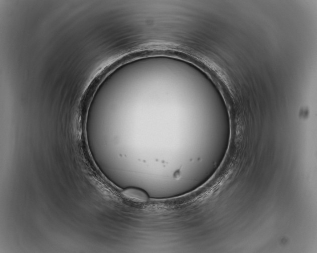 X0000100320973200806121100