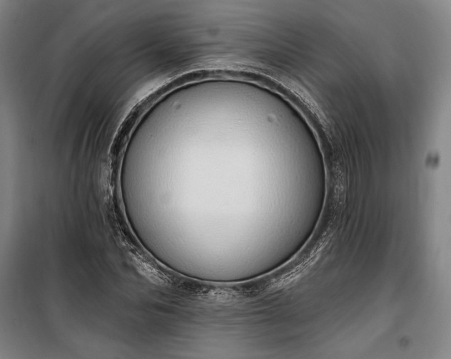 X0000100320974200806121100