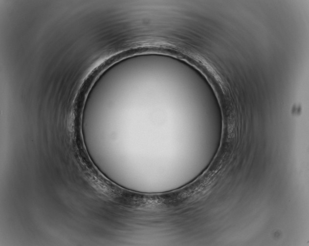 X0000100320975200806121100