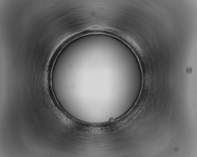 X0000100320976200806121100