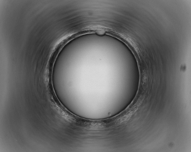 X0000100320979200806121100