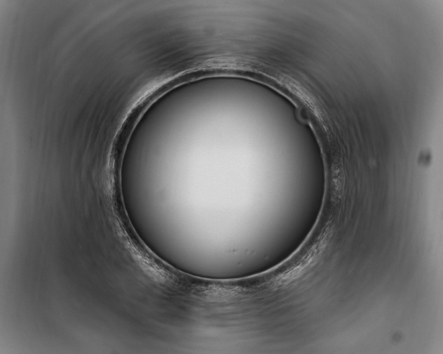 X0000100320981200806121100