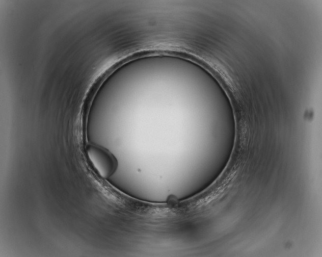 X0000100320982200806121100