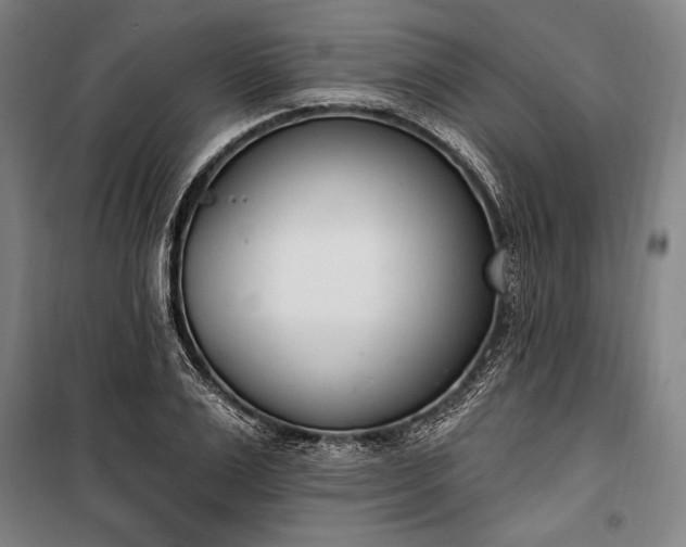 X0000100320983200806121100