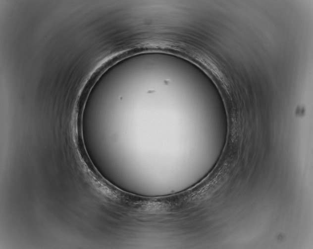 X0000100320984200806121100