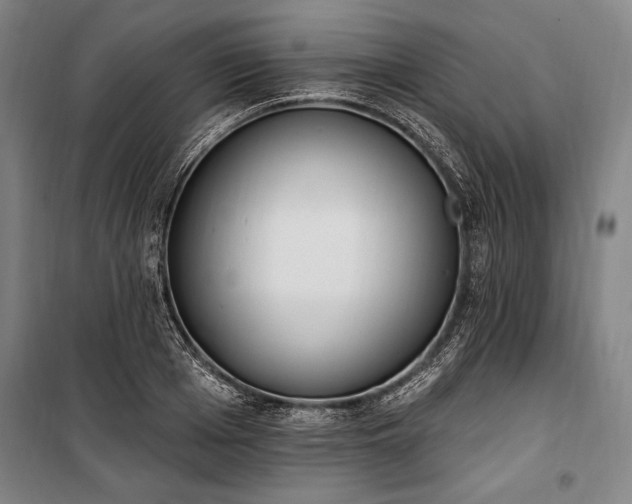 X0000100320985200806121100