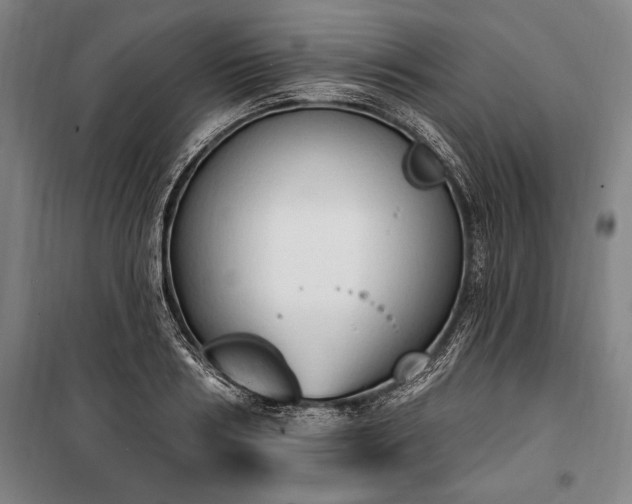 X0000100320986200806121100