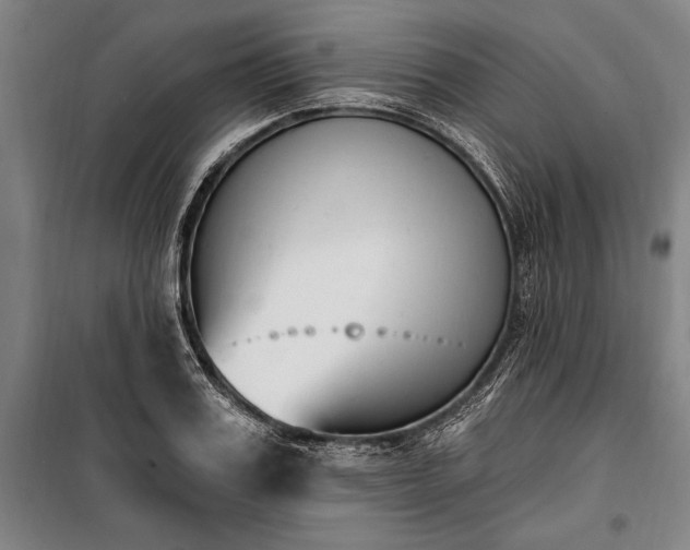 X0000100320987200806121100