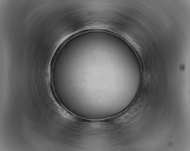 X0000100320988200806121100