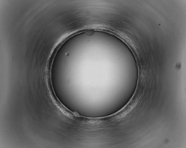 X0000100320989200806121100