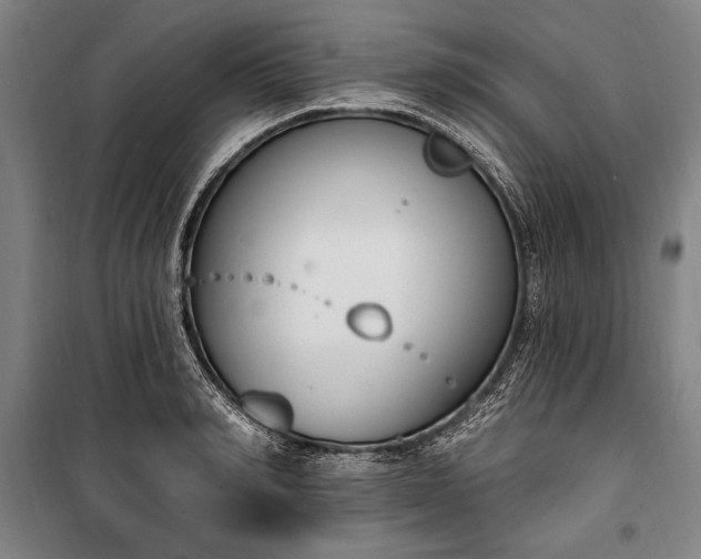 X0000100320990200806121100