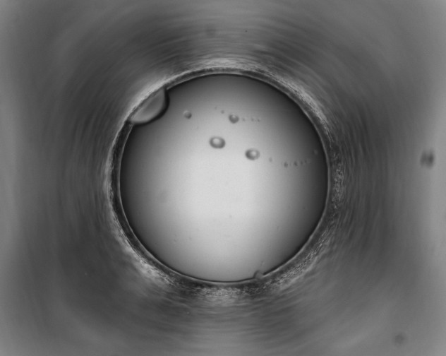 X0000100320991200806121100