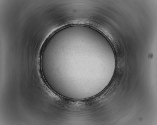 X0000100320992200806121100