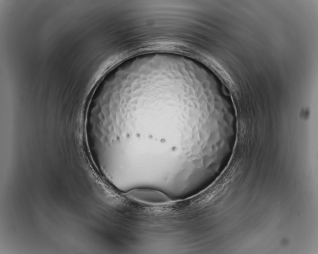 X0000100320994200806121100