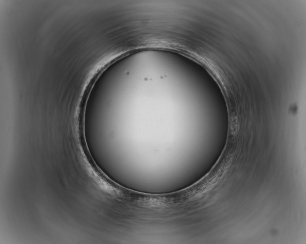 X0000100320995200806121100