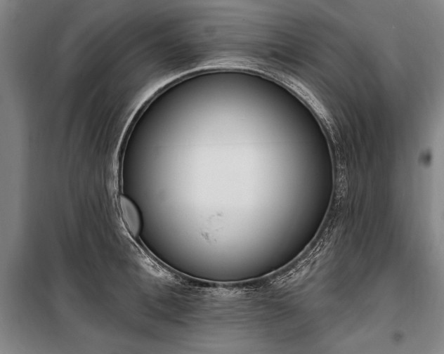 X0000100320996200806121100