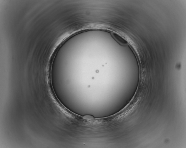 X0000100320997200806121100