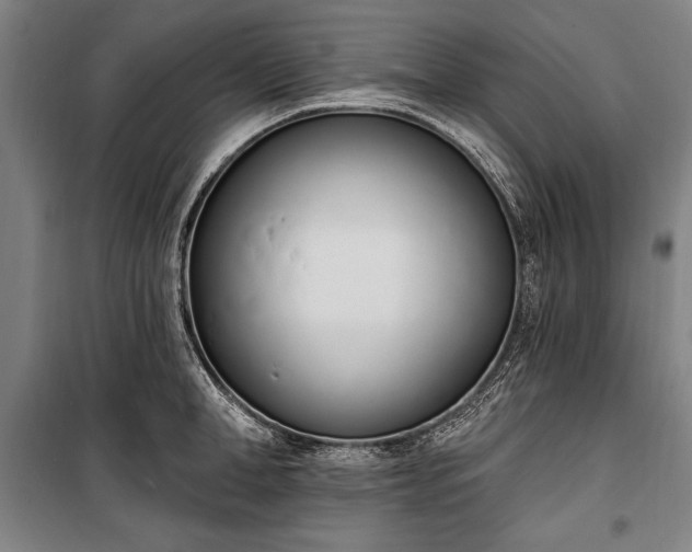 X0000100320998200806121100