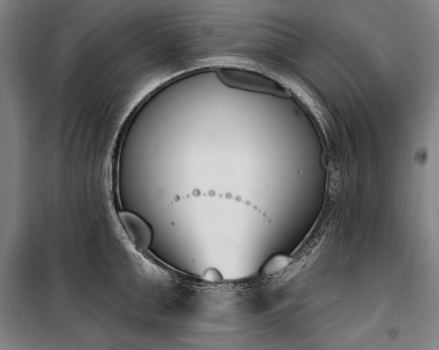 X0000100320999200806121059