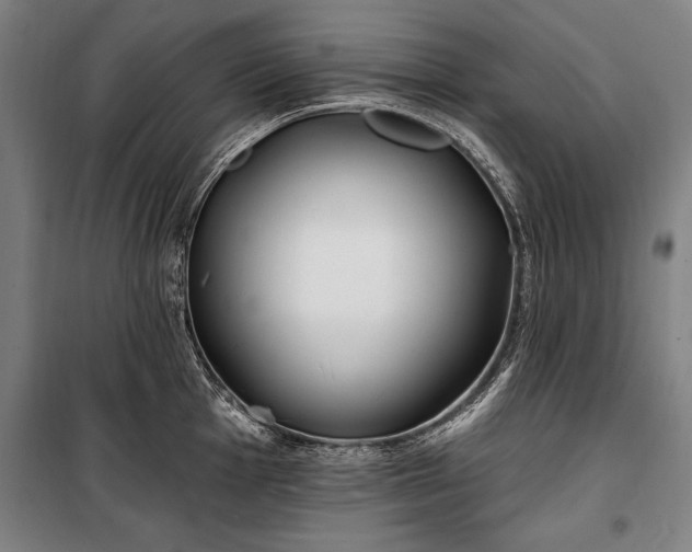 X0000100321001200806121059