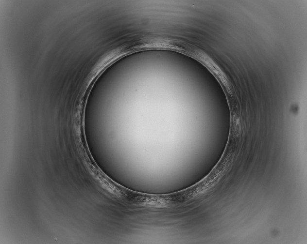 X0000100321002200806121059