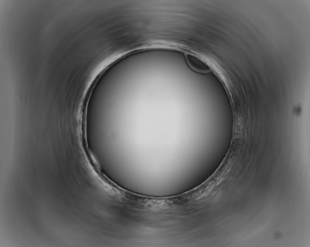 X0000100321003200806121059