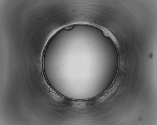 X0000100321004200806121059