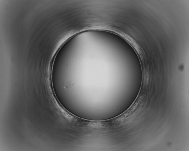 X0000100321006200806121059