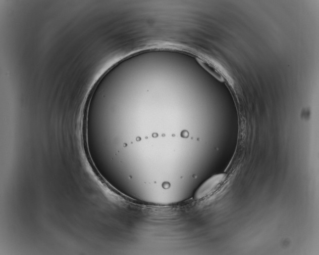 X0000100321007200806121059