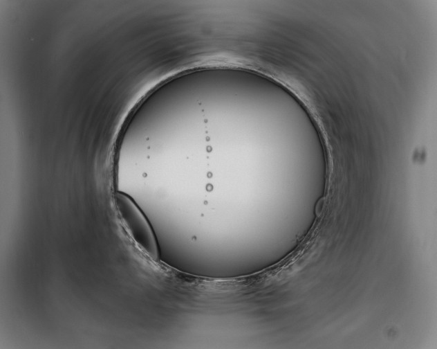 X0000100321008200806121059