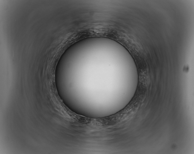 X0000100321009200806121059