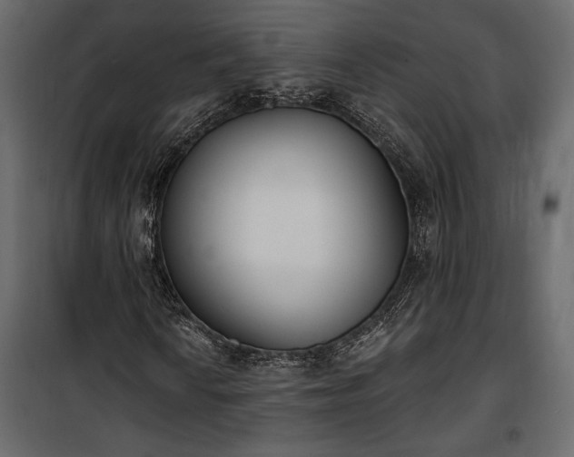 X0000100321010200806121059