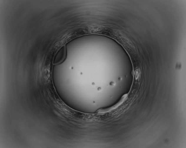 X0000100321011200806121059