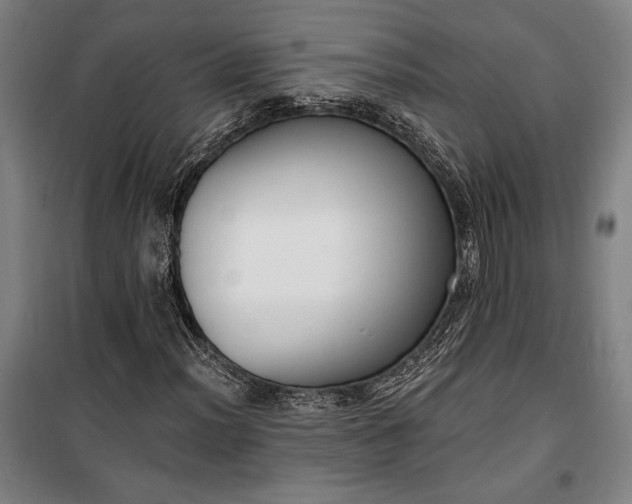 X0000100321012200806121059