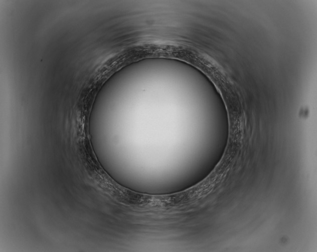 X0000100321013200806121059