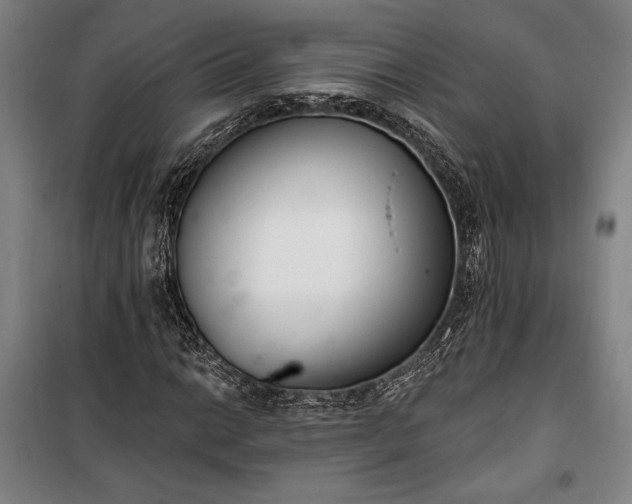 X0000100321014200806121059