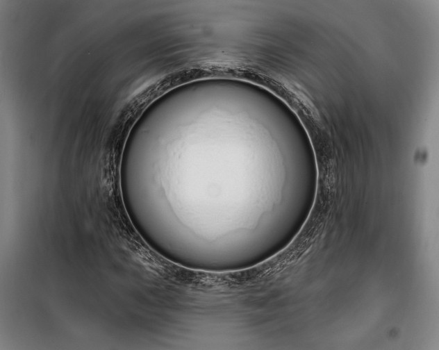 X0000100321015200806121059