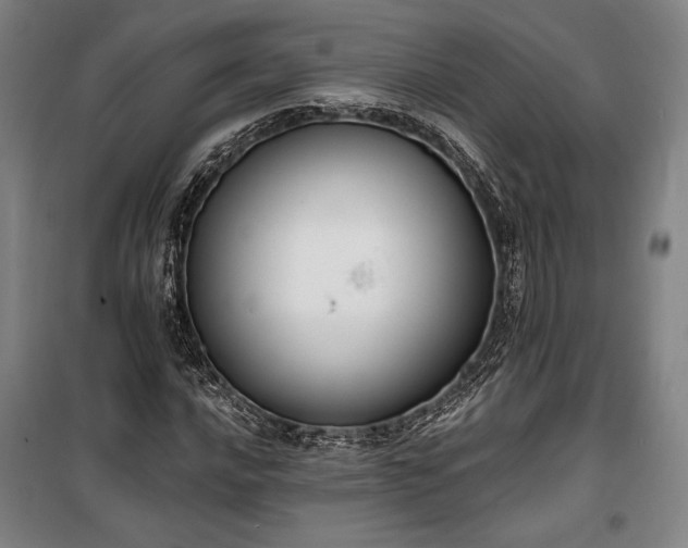 X0000100321016200806121059