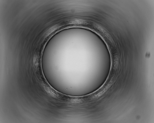 X0000100321017200806121059