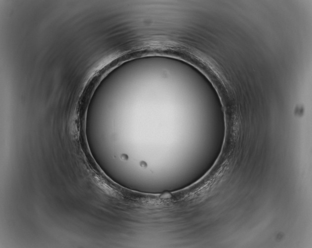 X0000100321018200806121059