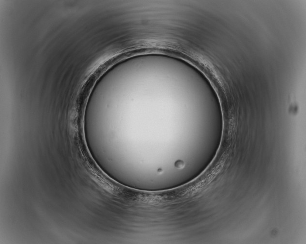 X0000100321019200806121059