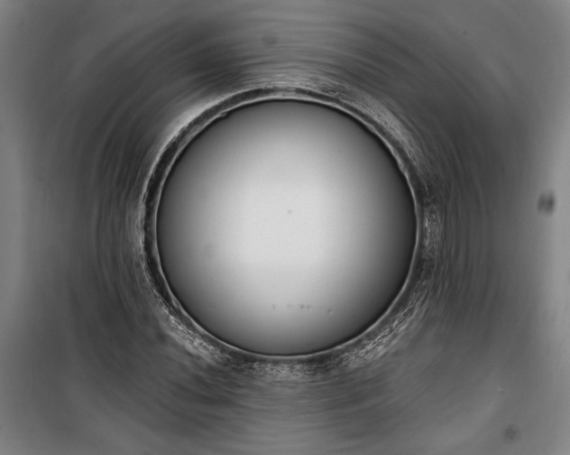 X0000100321020200806121059