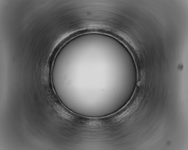 X0000100321021200806121059