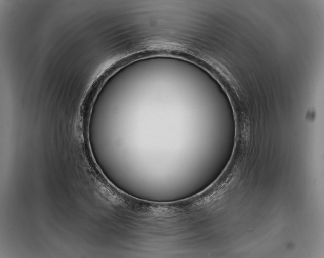 X0000100321022200806121059