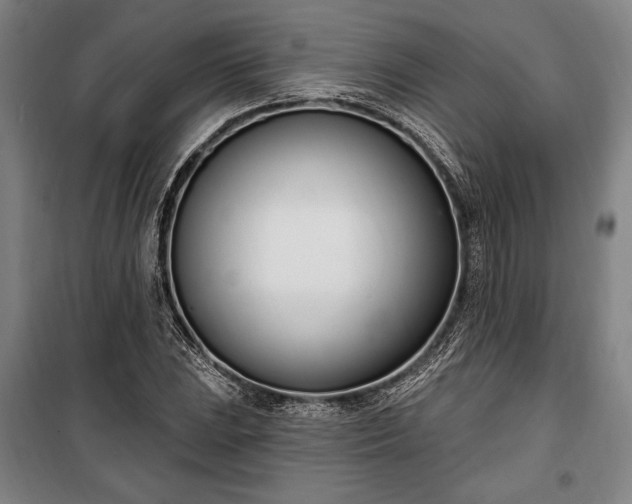 X0000100321023200806121059