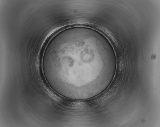 X0000100321024200806121059