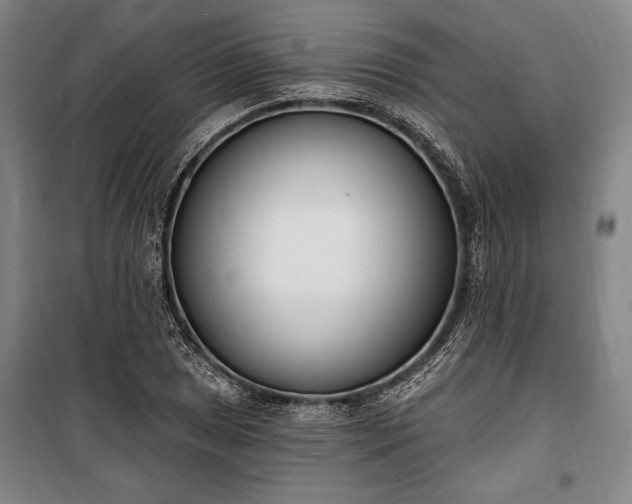 X0000100321025200806121059