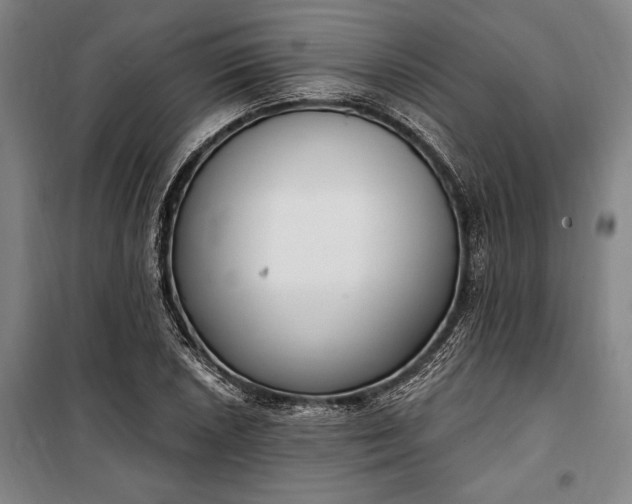 X0000100321026200806121059