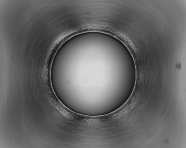 X0000100321027200806121059